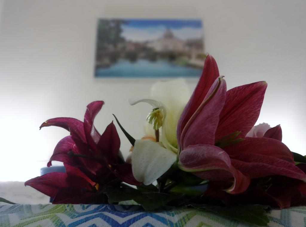Romulea Guest House Экстерьер фото